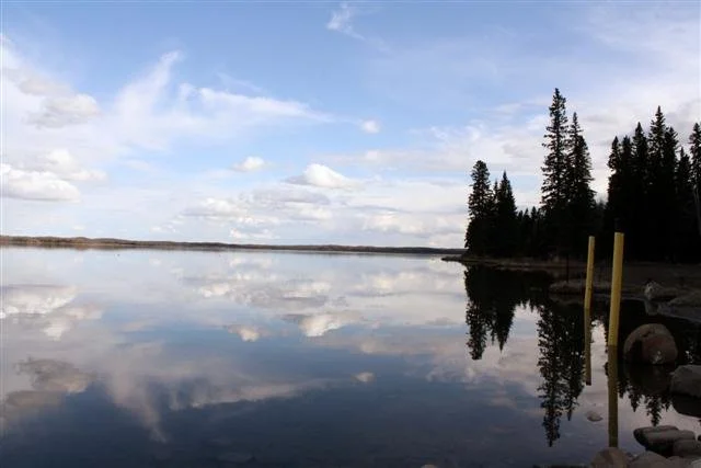 Natural campground surroundings